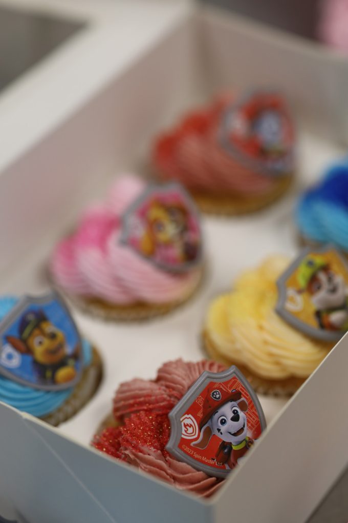 Paw Patrol Themed Cupcakes